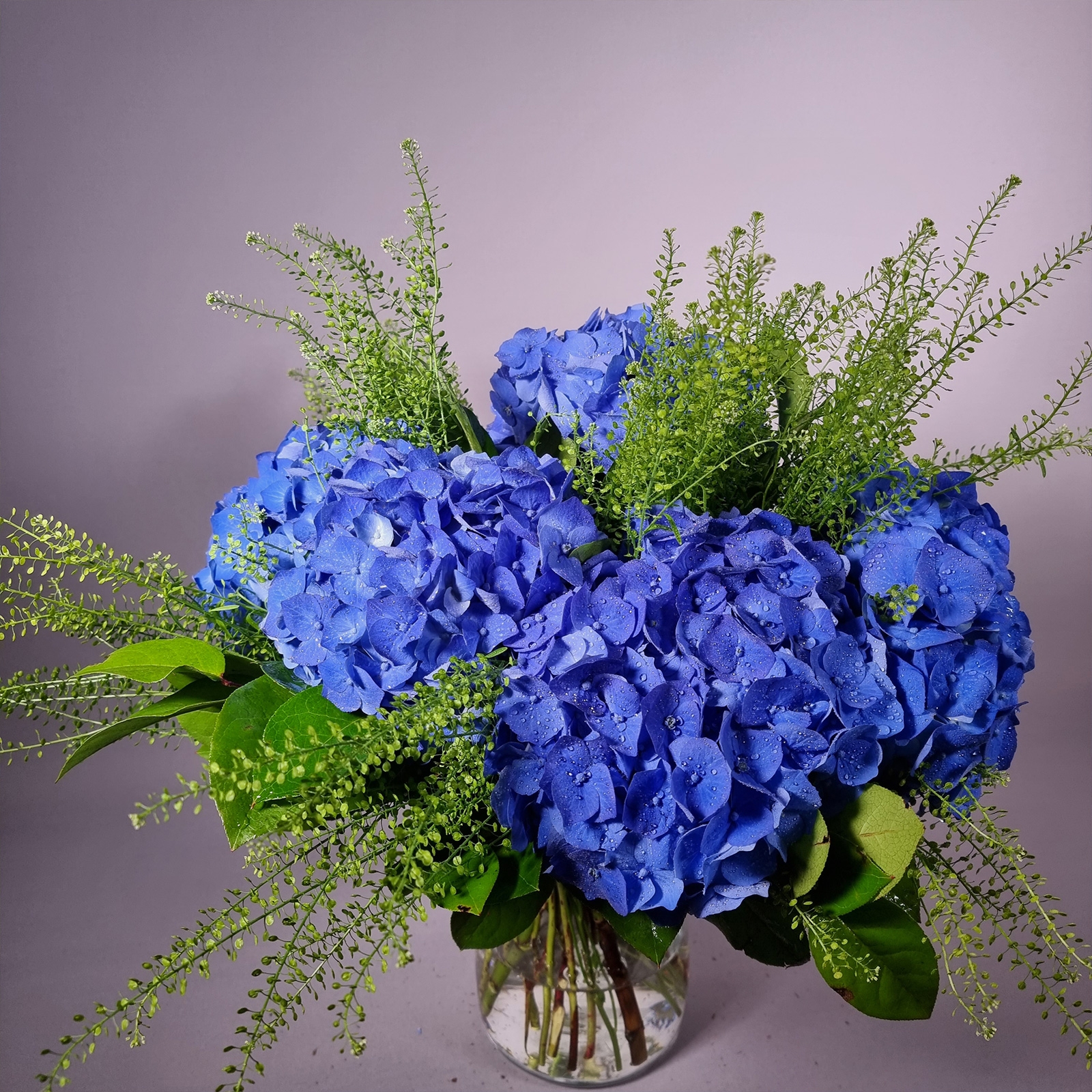 Flores frescas, entrega a domicilio en San Sebastin Donostia, Astigarraga, Hernani, Rentera y Lasarte