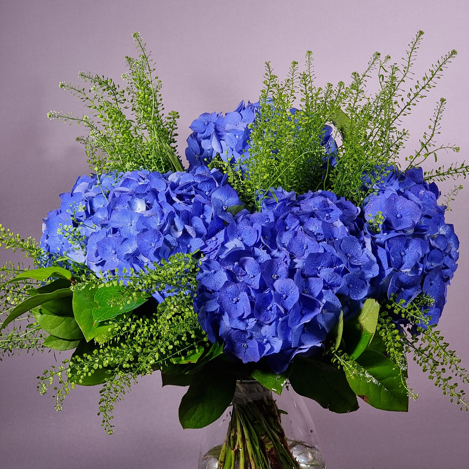 Ramo de flor fresca, hortensias y lepidium de Flowers and Events con entrega a domicilio en toda la Península