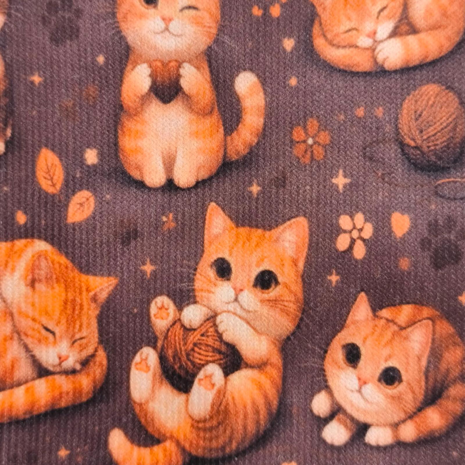 CALCETIN GATOS