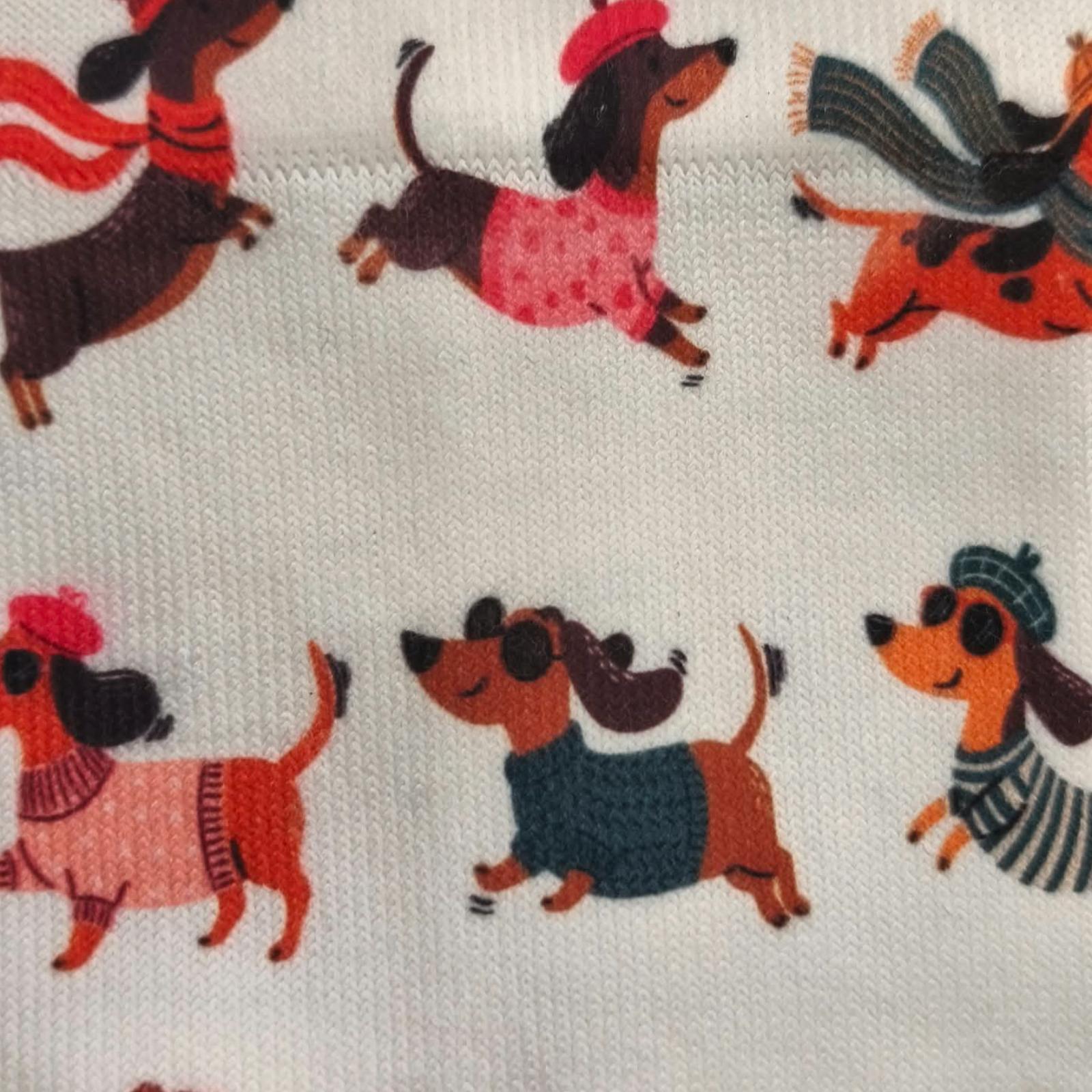 CALCETIN PERRO SALCHICHA