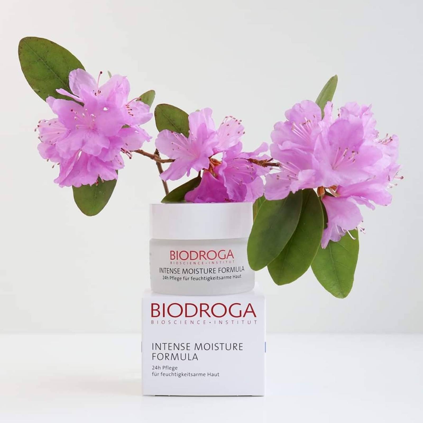 Intense Moisture Formula 24h for dry skin